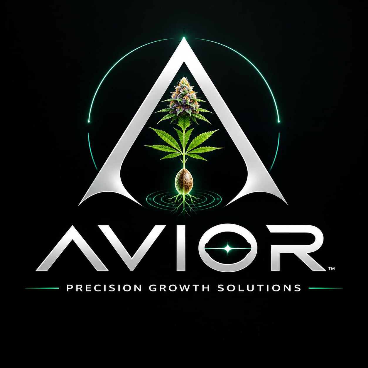 Avior logo: silver A and wordmark with a plant emerging from a seed, surrounded by gold light